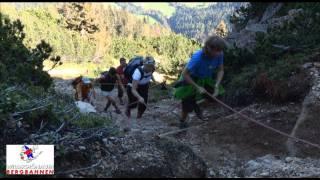 Wandern in der Wildschönau - Zum Gratlspitz