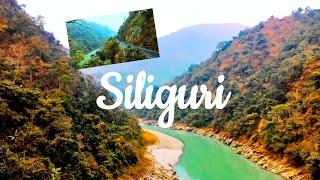 Siliguri 2025 | Road Trip Day 6 | Ranchi To Sikkim #roadtrip #youtube #vlog #travel #blog