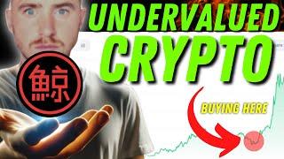 Best Cheap Crypto to Invest in January 2024? KUJI is an Undervalued Coin to Buy Now....?