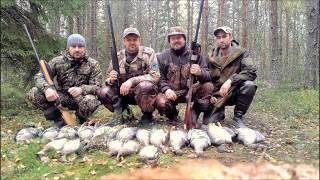 Охота на гуся  Осень 2017