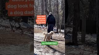 Funny dog is taking applications for a #dogdad #doglife #dogowner  #dogmom #dogslife