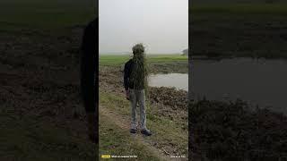 funny video  #funnyshorts #fun #comedy #fypシ #memes #lolmeme #jit