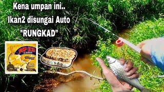 Umpan gacor untuk mancing disungai  ‼️ Mancing wader uceng di selokan kecil