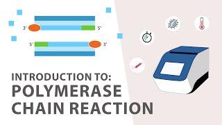 1) Tutorial PCR (Reaksi Rantai Polimerase) - Pendahuluan