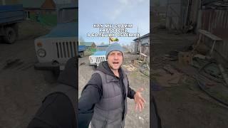 Наказать за это Илюху? #сельскоехозяйство