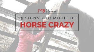 15 Signs You Might Be Horse Crazy