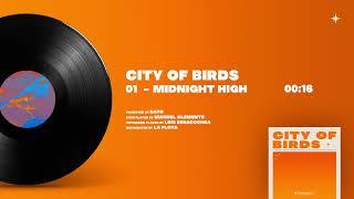 Rayo - 01 MIDNIGHT HIGH [City Of Birds]