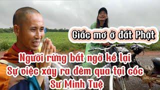 Bất ngờ người rừng kể lại sự việc tối hôm qua khi ngủ  ngoài trời #thichminhtue #minhtue