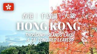 Hong Kong Travel Must Go - Hiking at Thousand Islands Lake & Tai Tong  | 香港旅遊 - 行山登高必去 - 千島湖&大棠紅葉