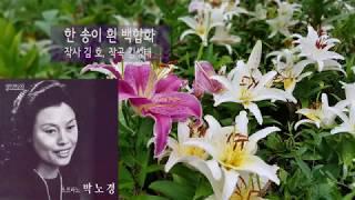 박노경 - 한 송이 흰 백합화