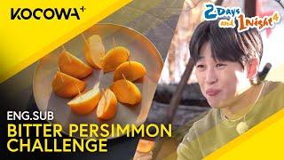 DinDin & Cho Sae Ho Experience The Pain Of Unripe Persimmons | 2 Days And 1 Night 4 EP252 | KOCOWA+