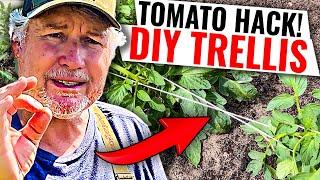 The STRONGEST Tomato Trellis You'll Ever Need In The Garden