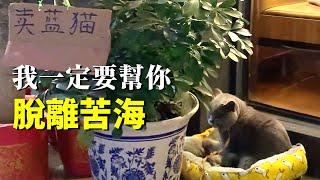 被拴在店門口兩年的貓