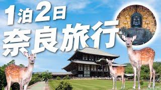 １泊２日で奈良に旅行してみた！