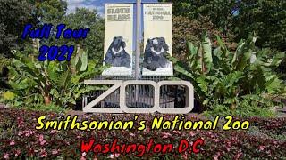 Smithsonian’s National Zoo Full Tour - Washington D.C.