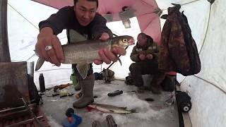 Всегда с Вами Клёвая рыбалка в Якутии! Cool fishing in Yakutia