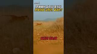 호랑이가 코끼리를 덮치려던 순간 - 후방 기습 전략 해설