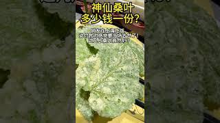 上海：神仙桑叶多少钱一份？ #中国美食推荐 #chinesefood