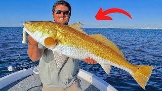 Fishing a Popper in the Gulf for Giant Bull Redfish! [EPIC Results]