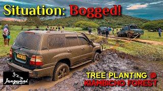 MUDDY MAYHEM! Planting Trees & Getting Stuck in 4x4 Heaven! (Kiambicho Forest)