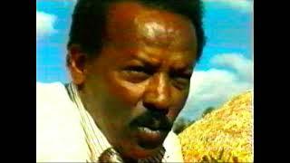 Engineer Asgedom - Weldemichael ሓላፋይ'ዩ ሽግር Official Music Video #2023