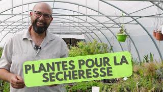 Il cultive des PLANTES COMESTIBLES résistantes à la SECHERESSE