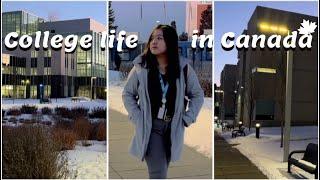 ೃ⁀  A Day in the Life of an International Student in Canada ️ | Winter 2023