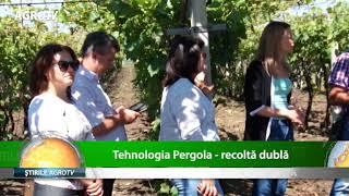 tehnologia pergola recolta dubla 31 05 2018