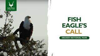 A Fish Eagle call in the Kruger National Park