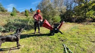 Living OFF-GRID on 1 Hectare of LAND in PORTUGAL