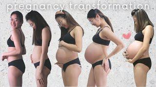 PREGNANCY TRANSFORMATION (belly growth) | Aya Marie