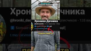 Перец вырастет с кулак! Лучшая подкормка перца #перец #огород #сад #дача