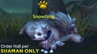 Snowfang - Shaman Order Hall (2-Pet Levelling Team)