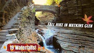 FALL HIKE WITH 19 WATERFALLS! Hiking The Gorge Trail in Watkins Glen, New York | The Finger Lakes