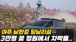 당남리섬/입장료 주차무료 3만평 규모의 꽃의 정원-가로침상 스타렉스 차박여행