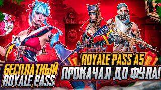 ЗАБЕРИ ЛИЦО 4 СЕЗОНА БЕСПЛАТНО В ПУБГ МОБАЙЛ! ХАЛЯВНЫЙ ROYAL PASS А5 PUBG MOBILE! ХАЛЯВА ПАБГ МОБАЙЛ