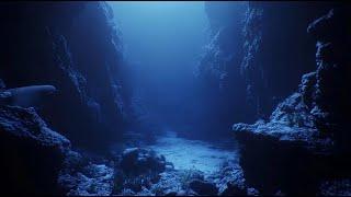 Deep Ocean Underwater Ambience for Sleep  | Relaxing Sounds of the Sea for Restful Nights