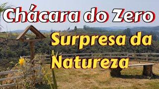 Chácara do Zero - Surpresa da Natureza, #vidanaroça #natureza #sitio #deus