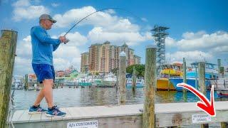 Fishing Destin Harbor And Taking Whatever I Catch To A Restaurant For Lunch