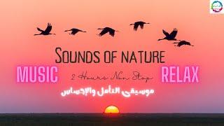 MUSIC INSTRUMENTAL NATURE RELAXING - موسيقى التأمل والإحساس