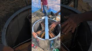 How Beekeepers Collect Pure Honey from Hives