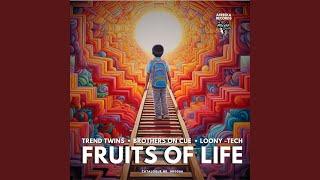 Fruits of Life (Original Mix)