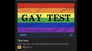 The Gay Test