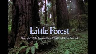 Little Forest