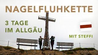 Nagelfluhkette im Allgäu mit Steffi - Hommage an die Allgäuer Kühe