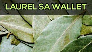 ANG 8 SWERTENG PARAAN NG PAGLALAGAY NG LAUREL SA IYONG WALLET