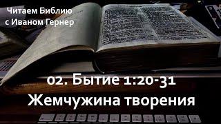 02 | Бытие 1:20-31 | Жемчужина творения