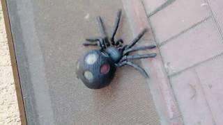 Big Fake Spider Monster Slime Spider / नकली मकड़ी