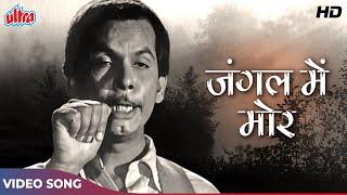 जंगल में मोर नचा किसी ने न देखा Song - Mohd Rafi | Johnny Walker | Old Hindi Songs | Madhumati 1958