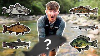 MULTI SPECIES Fishing Challenge! (SURPRISE CATCH)